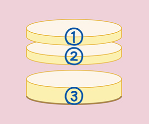 スポンジ3枚スライス画像